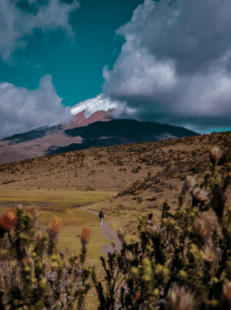 Cotopaxi