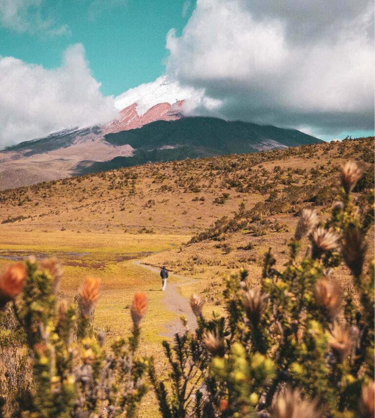 Molduras de Cotopaxi-04